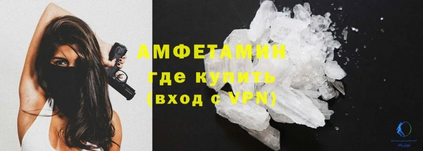сатива Зерноград