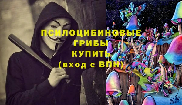 сатива Зерноград
