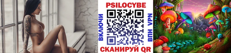 Галлюциногенные грибы Psilocybine cubensis  Купить где  Красный Сулин 